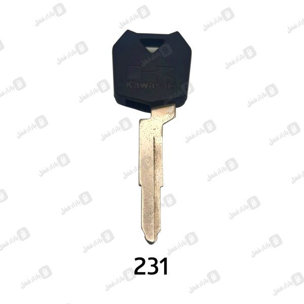 231چیپ خور کاوازوکی