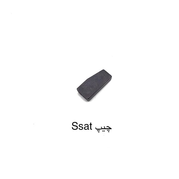 چیپ اس اس ای تی