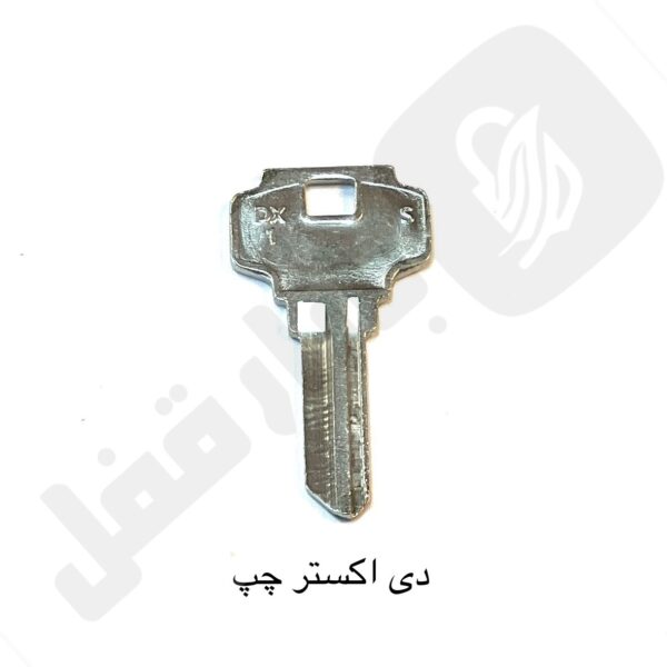 دی اکستر چپ ایرانی